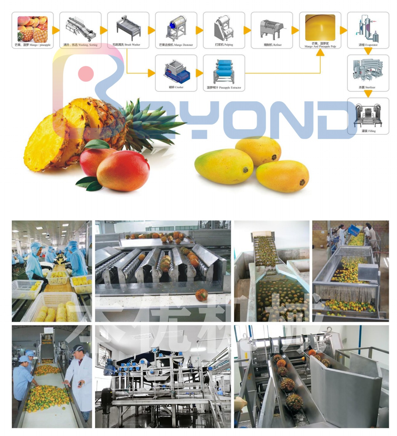 1627031734313520.jpg 3,2019果蔬綜合樣本_07_副本.jpg