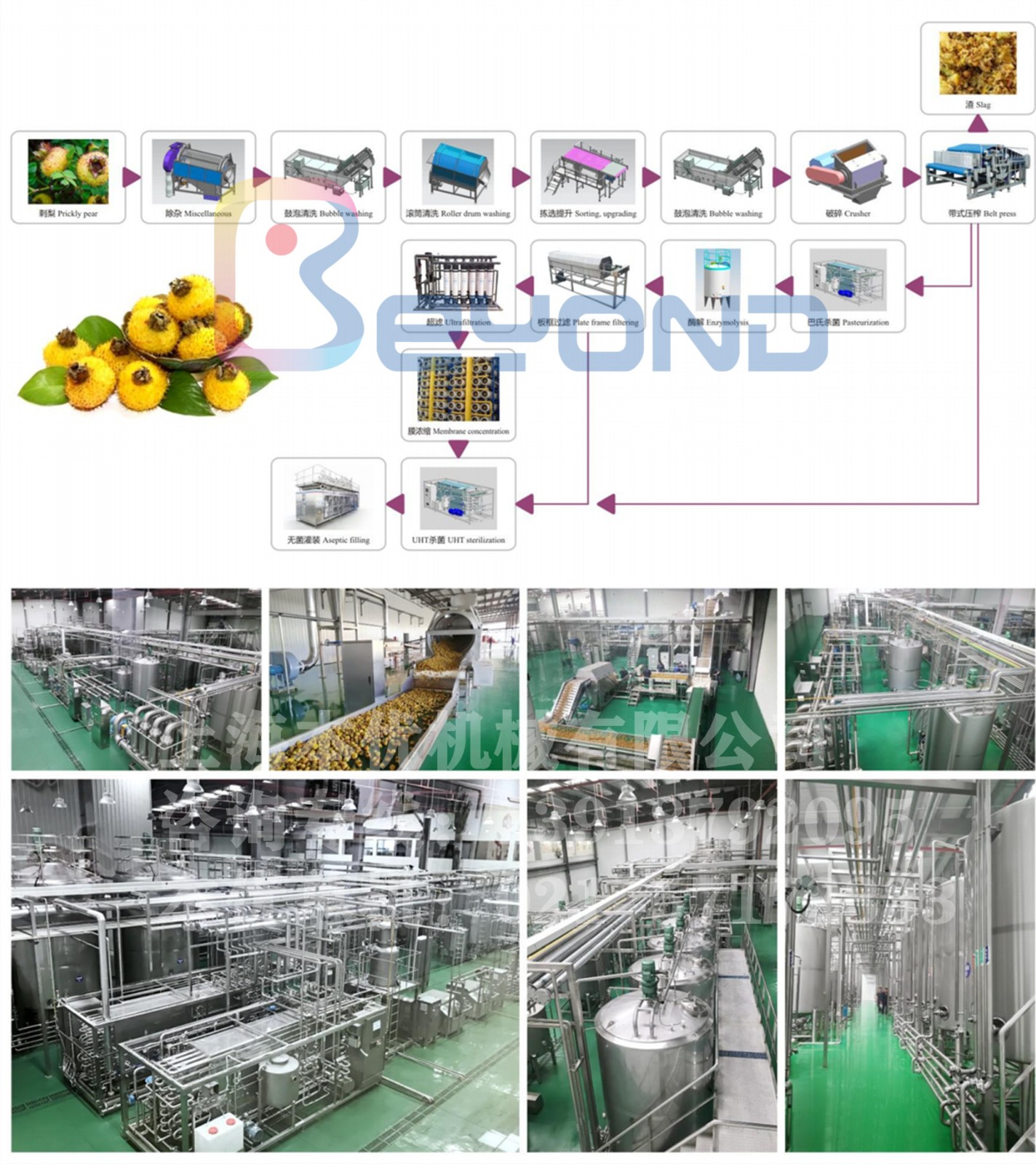 1627359021174267.jpg 1.jpg