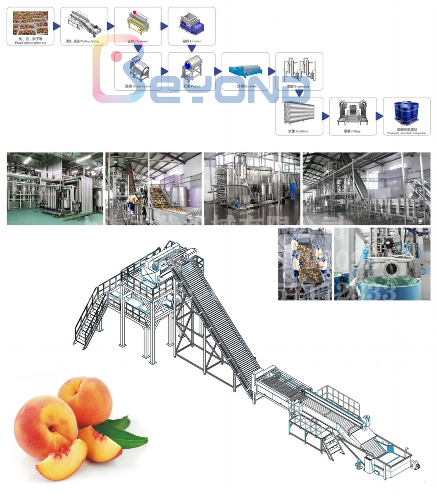 1627451844671274.jpg 桃杏.jpg